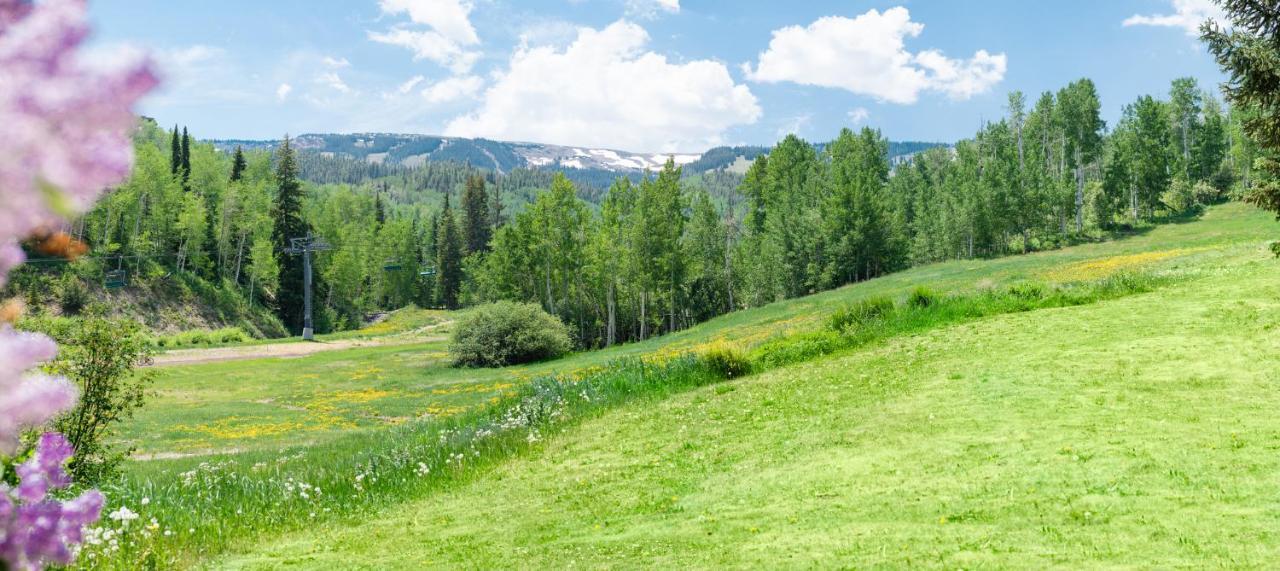 Laurelwood Condominiums 202 Snowmass Village Exteriör bild